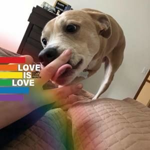 Meet your Posher, Liberty